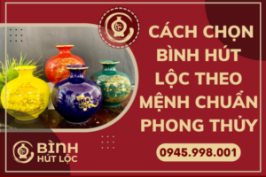 chia-se-cach-chon-binh-hut-loc-theo-menh-2